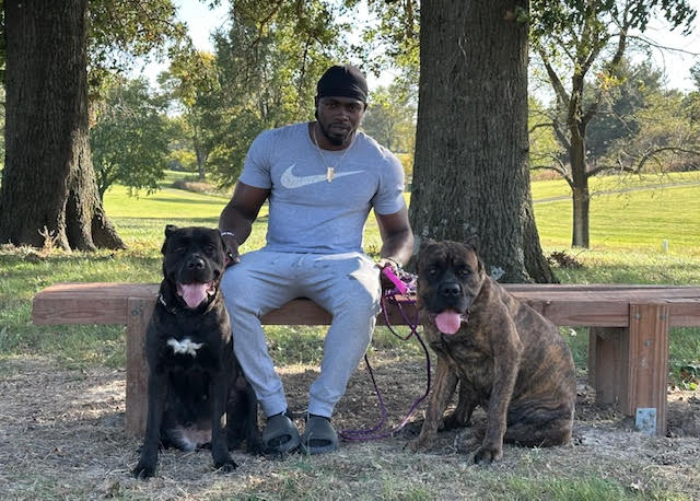 personalized pet care at all paws inn pet resort and day care, belleville, il