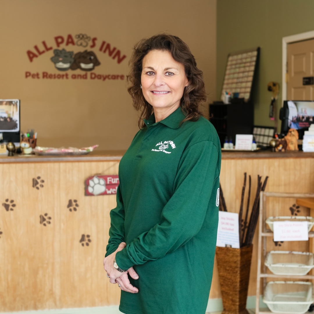 dog daycare at all paws inn pet resort and daycare, belleville, il